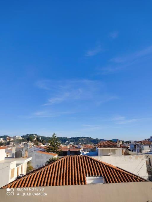 Apartment Bozikis House! A Cosy In The Centre Skiathos-Stadt